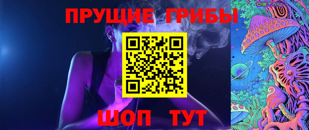 Ялуторовск  как найти закладки  Вход с VPN  Псилоцибиновые грибы Psilocybe 