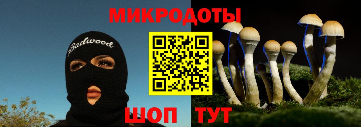 Псилоцибиновые грибы мицелий Ялуторовск